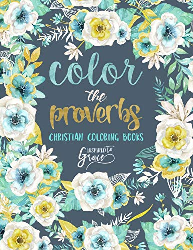 Imagen de archivo de Color The Proverbs: Inspired To Grace: Christian Coloring Books: Day & Night (Inspirational Coloring Books for Grown-Ups) a la venta por Revaluation Books