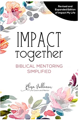 Stock image for Impact Together: Biblical Mentoring Simplified for sale by Orion Tech