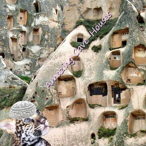 Beispielbild fr Amazing Cave-Houses zum Verkauf von Lucky's Textbooks
