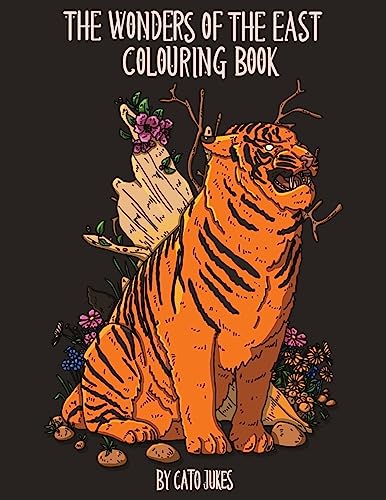 9781535149273: wonders of the east: Wonders of the east: Colouring book