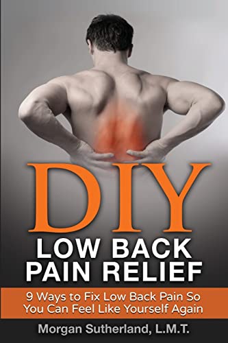 Stock image for DIY Low Back Pain Relief: 9 Ways To Fix Low Back Pain So You Can Feel Like Yourself Again for sale by Bahamut Media