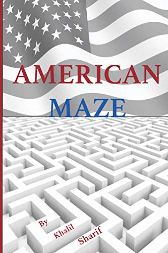 Beispielbild fr American Maze zum Verkauf von Revaluation Books