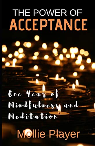 9781535265270: The Power of Acceptance: One Year of Mindfulness and Meditation