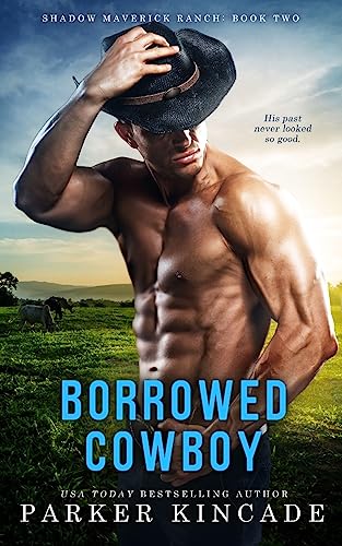 Stock image for Borrowed Cowboy (Shadow Maverick Ranch) (Volume 2) for sale by Save With Sam