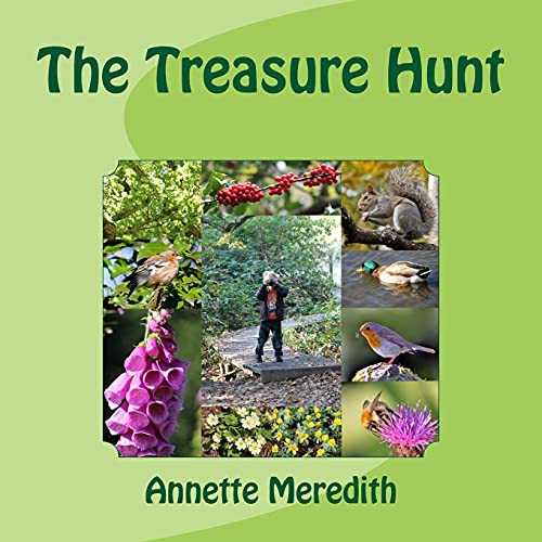 Stock image for The Treasure Hunt for sale by Revaluation Books