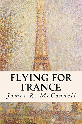 Stock image for Flying for France for sale by Lucky's Textbooks