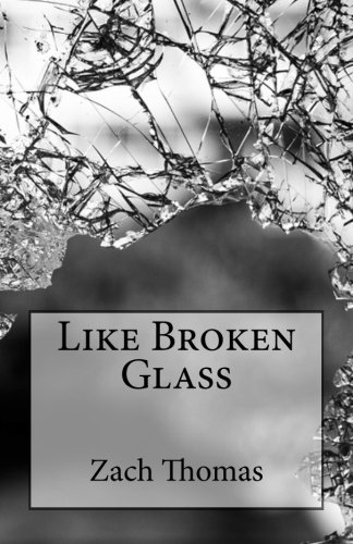 Imagen de archivo de Like Broken Glass a la venta por Revaluation Books