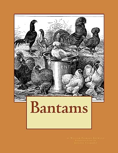 Stock image for Bantams for sale by THE SAINT BOOKSTORE