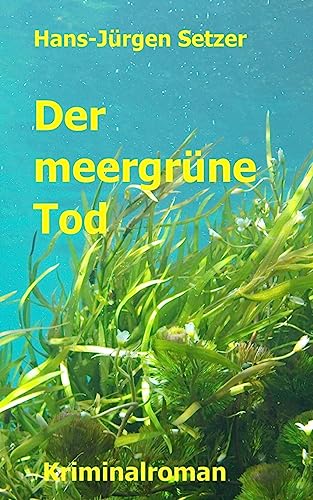 Stock image for Der meergruene Tod (Leon Walters ermittelt, Band 2) for sale by medimops