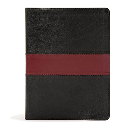 Beispielbild fr The Apologetics Study Bible: King James Version, Black / Burgundy, Leathertouch zum Verkauf von Revaluation Books