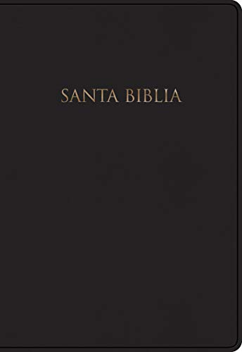 Imagen de archivo de Santa Biblia/ Holy Bible: New International Version, Biblia Para Regalos Y Premios, Negro/ New International Version, Bible for Gifts and Awards, Black a la venta por Revaluation Books