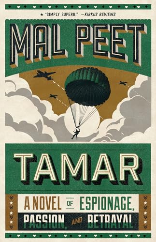 9781536200300: Tamar: A Novel of Espionage, Passion, and Betrayal