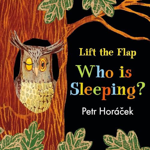 Beispielbild fr Who Is Sleeping? (A Lift the Flap Book) zum Verkauf von SecondSale