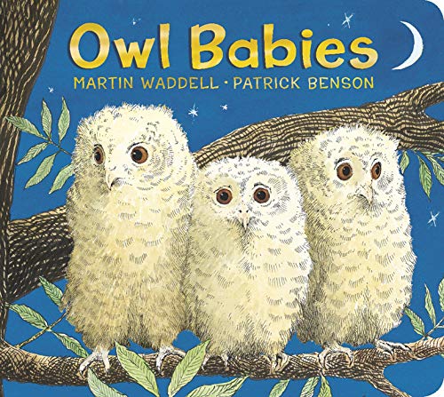 Imagen de archivo de Owl Babies: Padded Board Book a la venta por KuleliBooks