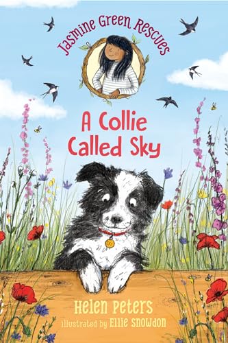 Beispielbild fr Jasmine Green Rescues: A Collie Called Sky zum Verkauf von Better World Books