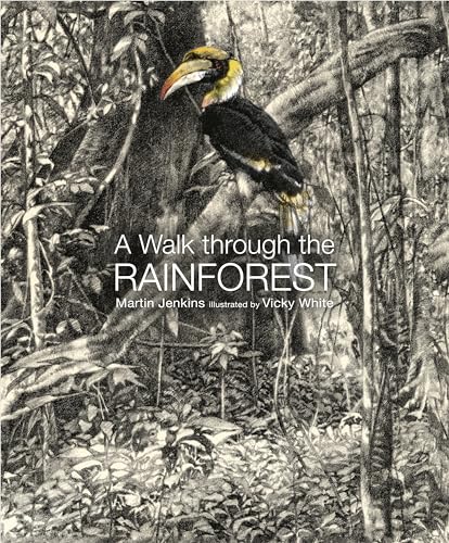 Imagen de archivo de A Walk Through the Rain Forest a la venta por Decluttr