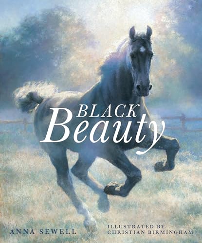 Beispielbild fr Black Beauty zum Verkauf von Goodwill Books