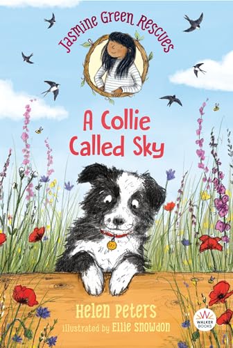 Imagen de archivo de Jasmine Green Rescues: A Collie Called Sky a la venta por SecondSale