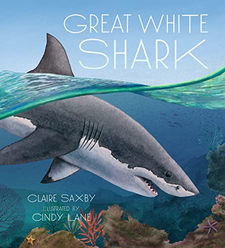 Stock image for Great White Shark for sale by HPB-Ruby