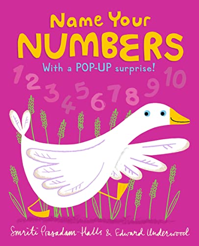 Beispielbild fr Name Your Numbers zum Verkauf von Zoom Books Company