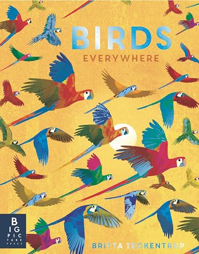 Beispielbild fr Birds Everywhere (Animals Everywhere) zum Verkauf von BooksRun