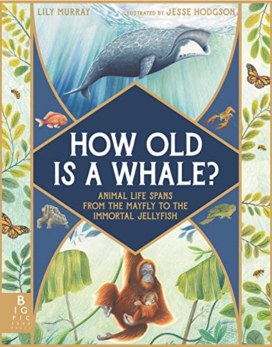 Beispielbild fr How Old Is a Whale? zum Verkauf von Blackwell's