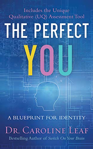 

Perfect You, The (Compact Disc)