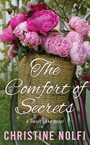 Imagen de archivo de The Comfort of Secrets a la venta por Revaluation Books