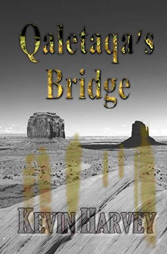 Imagen de archivo de Qaletaqa's Bridge: Where neuroscience, spiritualism and hidden dimensions meet a la venta por WorldofBooks