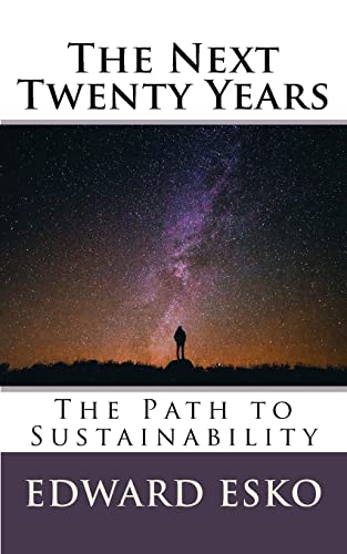 Stock image for The Next Twenty Years: The Path to Sustainability for sale by ThriftBooks-Dallas