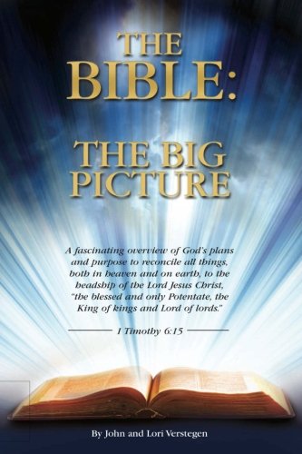 Stock image for The Bible the Big Picture for sale by SecondSale