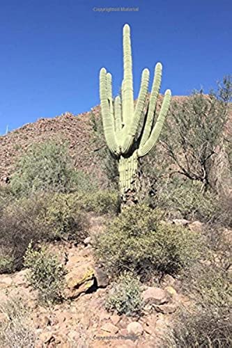 Stock image for Saguaro Cactus in the Desert Journal: 150 Page Lined Notebook/Diary [Soft Cover ] for sale by booksXpress