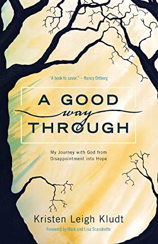9781537068060: A Good Way Through: My Journey with God from Disappointment into Hope