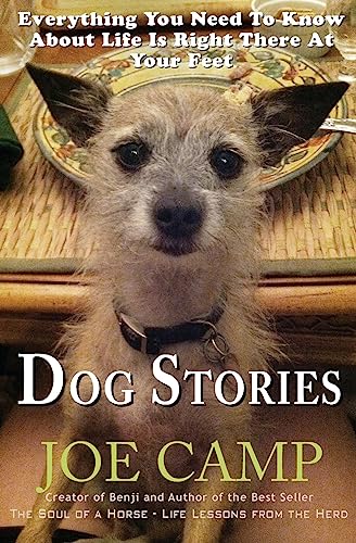 Imagen de archivo de Dog Stories: Everything You Need To Know About Life Is Right There At Your Feet a la venta por Jenson Books Inc