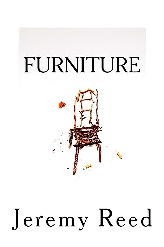 Stock image for Furniture for sale by WorldofBooks