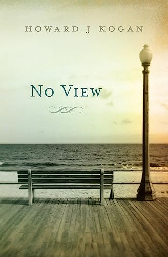 Stock image for No View for sale by THE SAINT BOOKSTORE