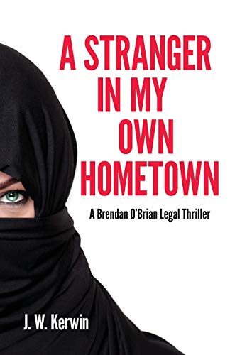 Stock image for A Stranger In My Own Hometown: A Brendan O'Brian Legal Thriller (Brendan O'Brian Legal Thrillers) for sale by SecondSale