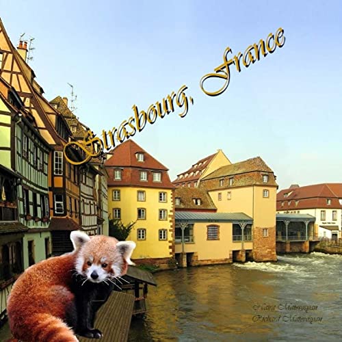 Beispielbild fr Strasbourg, France zum Verkauf von Lucky's Textbooks