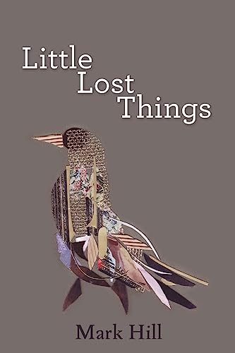Stock image for Little Lost Things for sale by SecondSale