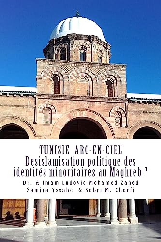 Imagen de archivo de Tunisie ARC-En-Ciel: Desislamisation Politique Des Identites Minoritaires Au Maghreb ? a la venta por THE SAINT BOOKSTORE