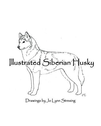 Siberian Husky Puppy  Traveling Pencils  Drawings  Illustration  Animals Birds  Fish Dogs  Puppies Siberian Husky  ArtPal
