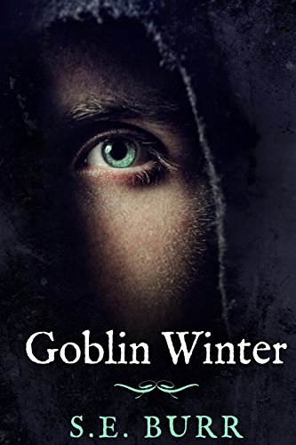 Stock image for Goblin Winter for sale by ThriftBooks-Atlanta