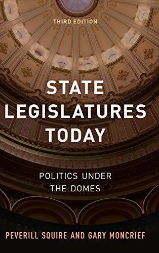 Imagen de archivo de State Legislatures Today: Politics under the Domes a la venta por Michael Lyons