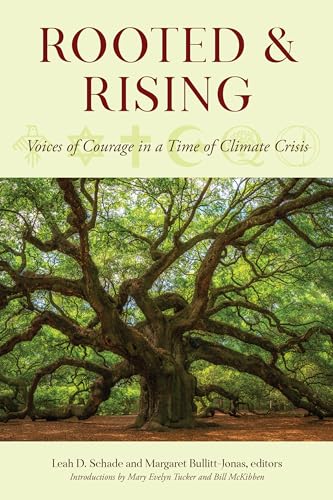 Imagen de archivo de Rooted and Rising Voices of Hope in a Time of Climate Crisis Voices of Courage in a Time of Climate Crisis a la venta por PBShop.store US