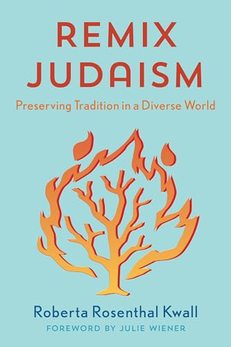 9781538129555: Remix Judaism: Preserving Tradition in a Diverse World