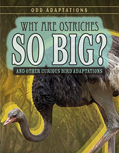 Imagen de archivo de Why Are Ostriches So Big? : And Other Curious Bird Adaptations a la venta por Better World Books: West