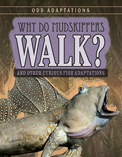 Beispielbild fr Why Do Mudskippers Walk? : And Other Curious Fish Adaptations zum Verkauf von Better World Books