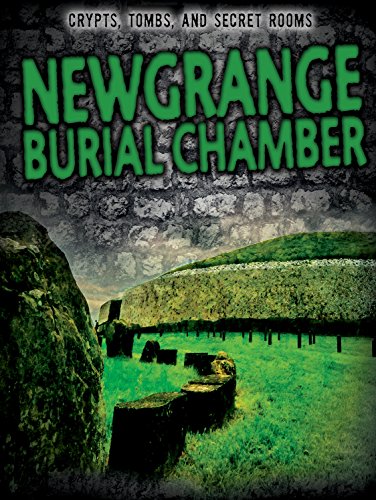 Beispielbild fr Newgrange Burial Chamber zum Verkauf von Better World Books