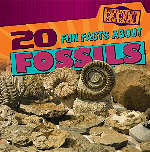 Beispielbild fr 20 Fun Facts About Fossils (Fun Fact File: Earth Science) zum Verkauf von Buchpark