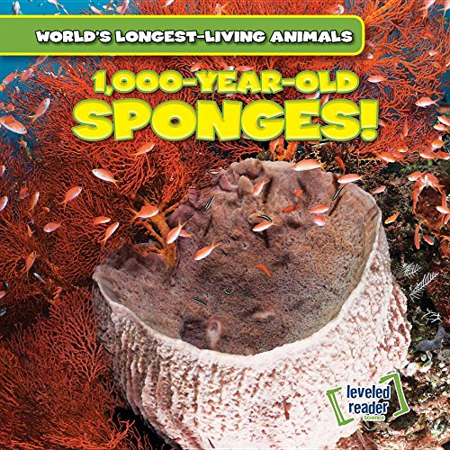 Beispielbild fr 1,000-Year-Old Sponges! zum Verkauf von Better World Books